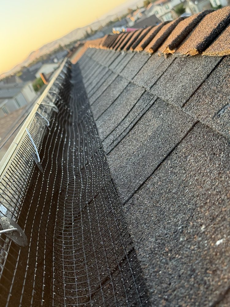 Bird proofing critter guard mesh on rooftop solar panels — Garcia's